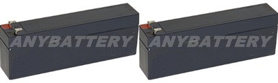 Item# 5348-13 is a 2-Battery Set