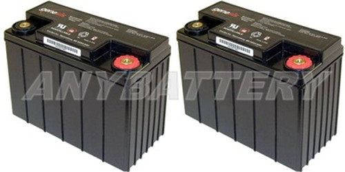 Item# 1078  (2-Battery Set)