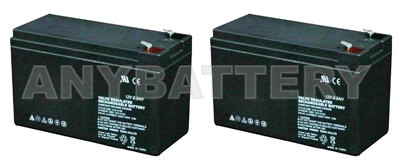 Item# 7869-2  (2-Battery Set)