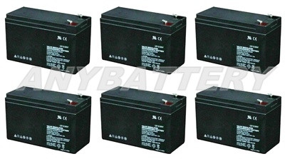 Item# 1516-i  (6-Battery Set)