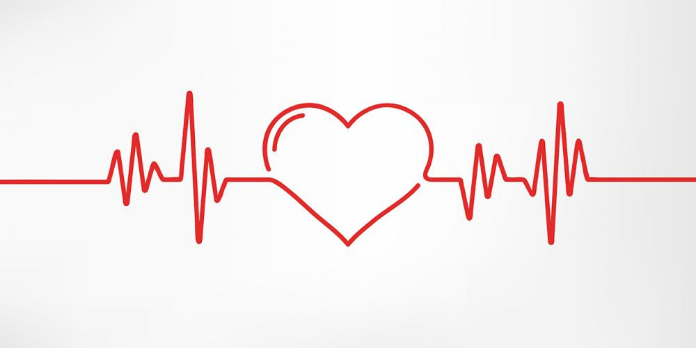 Weekend Read 11 February 2023