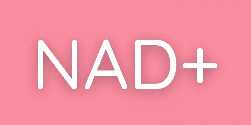 Weekend Read 9 September 2023