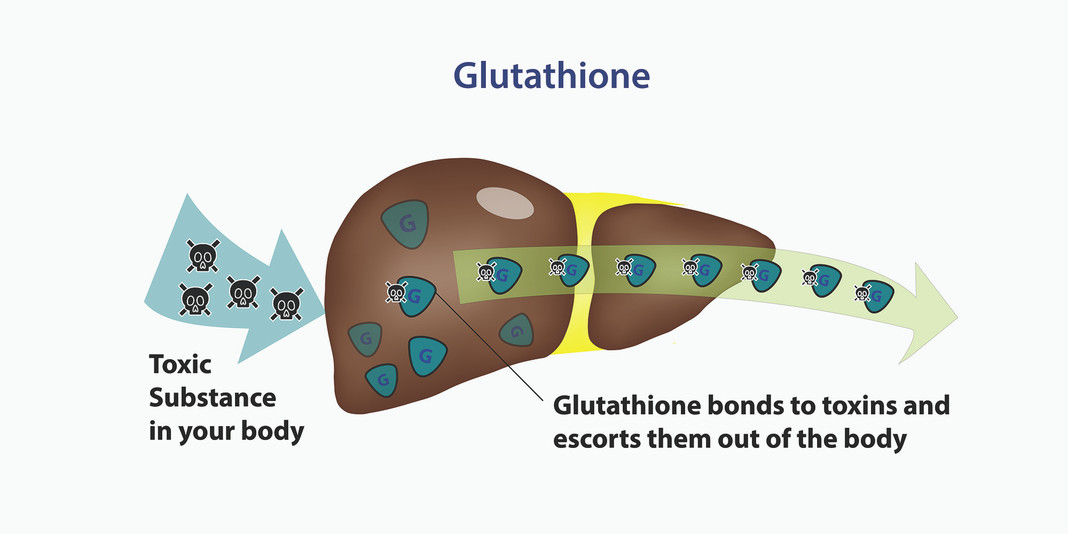 Glutathione for Thyroid Health
