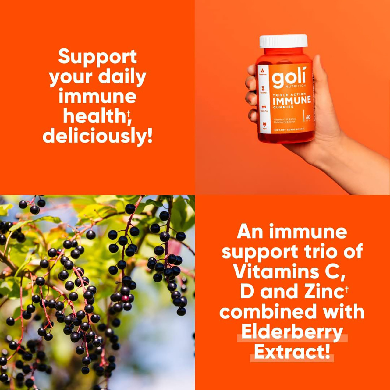 Goli Nutrition Triple Action Immune Gummies, 60 Pack - VictoriaHealth