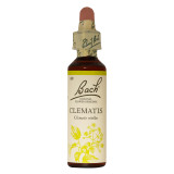 Bach Clematis flower remedy is for people who live in a world of their own with no interest in the real world.