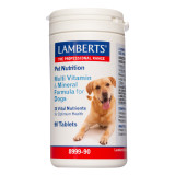 Multi Vitamin and Mineral for Dogs