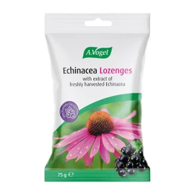 A.Vogel Echinacea Lozenges in a white and green resealable pouch with a pink echinacea flower and blackberries printed on the front, shown on a white background.