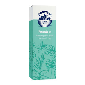 Dorwest Fragaria for dogs, 15ml, works to banish plaque.