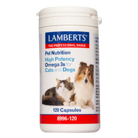 Lamberts Healthcare High Potency Omega 3s for Cats and Dogs - 120-Tablets front image
