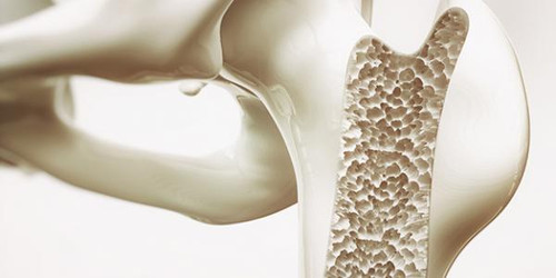 An Overview of Joint Supplements