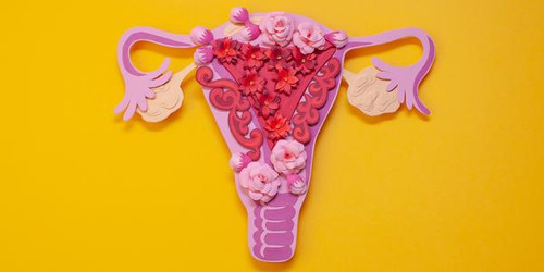 Endometriosis – Mapping A Path To Treatment