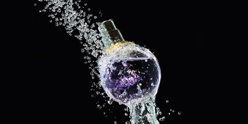 Everything About Fragrance