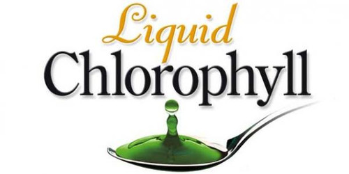 Go Super Green With Chlorophyll Liquid