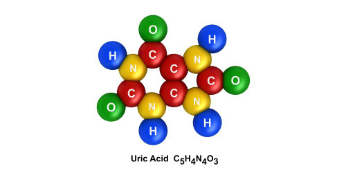 How To Control Uric Acid
