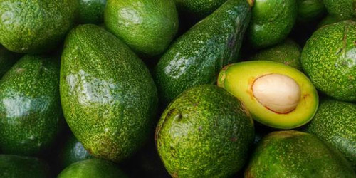 How to Win the ‘Bug Wars’ and Transform Your Health