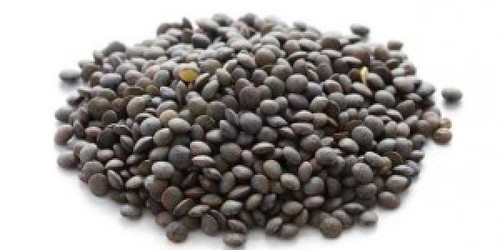 Lentil Casserole