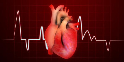 Protect Your Heart With D-Ribose Powder