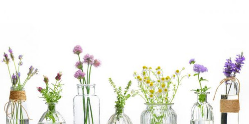 Sarah's Health Notes: Aromatherapy For Autumn