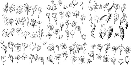 Sarah’s Health Notes: Feeling anxious? Get doodling…