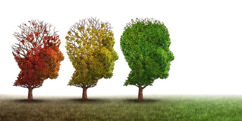 Sarah’s Health Notes: Supporting People With Dementia