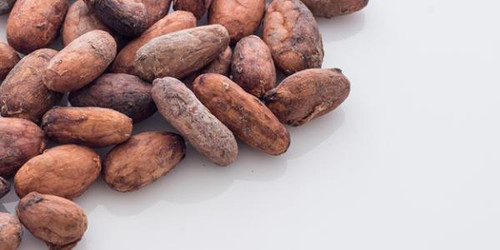 The Benefits of Raw Cacao Powder