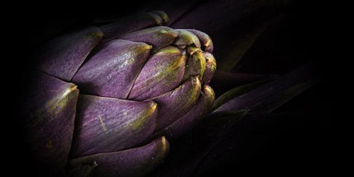 The Health Benefits of Artichoke