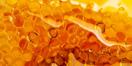 What's All The Buzz About Honey
