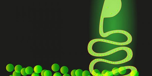 What Can’t Probiotic Supplements Do?