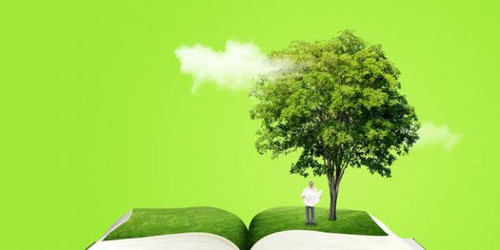 What I Wish I Had Learned At School