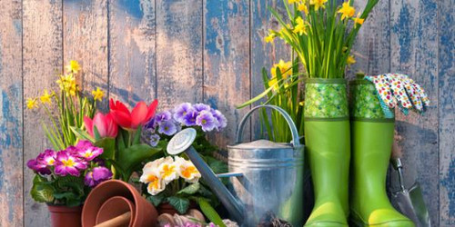 Why Gardening Might Just Save You, Mentally and Physically