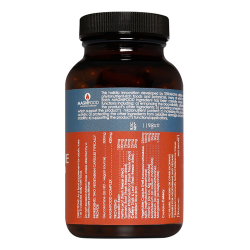Terranova Glucosamine Boswellia & MSM Complex, 100 Capsules