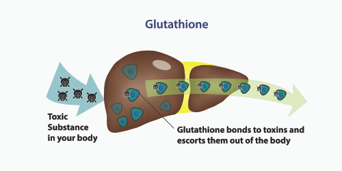 Glutathione for Thyroid Health