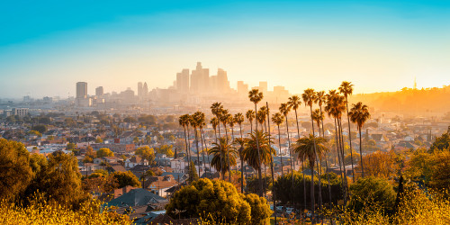 Kazu Namise’s Los Angeles