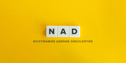 News about NAD – explaining this vital age-defying supplement