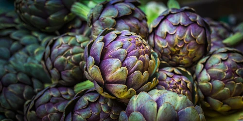 The Health Benefits of Artichoke