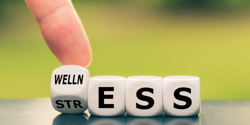 Stress and Nutrient Depletion: Why Stress Isn’t Just in Your Head