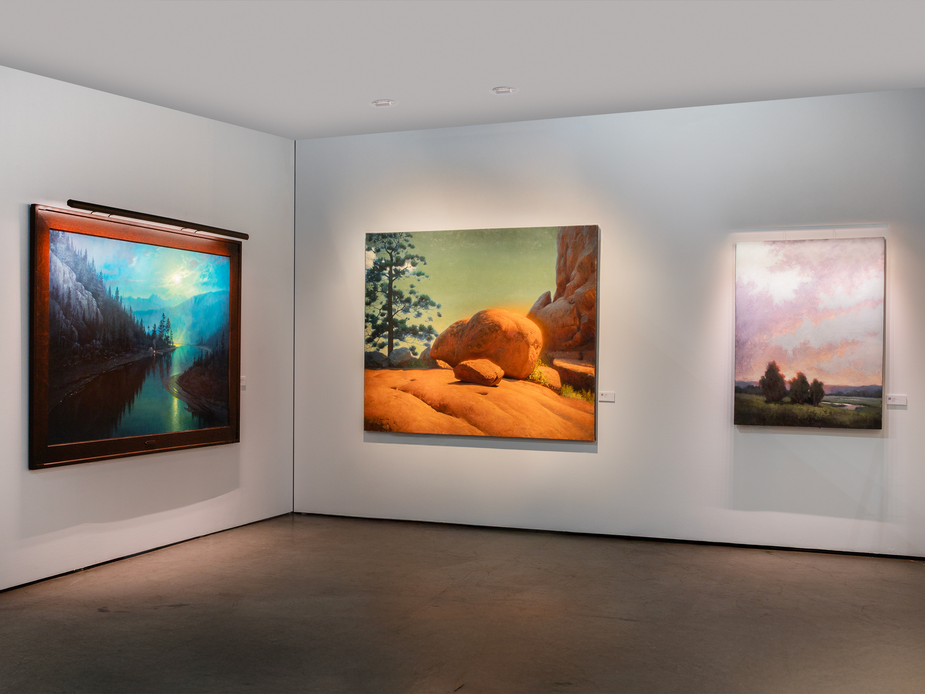 Fine art illuminated by Revelite AL and CL