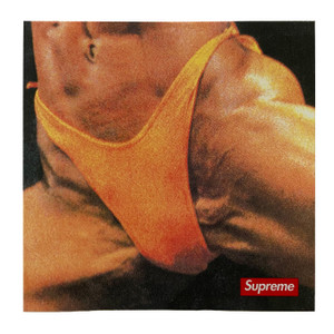 Supreme Butthole Surfers Rembrandt Pussyhorse Sticker Supreme Butthole Surfers Rembrandt Pussyhorse Sticker