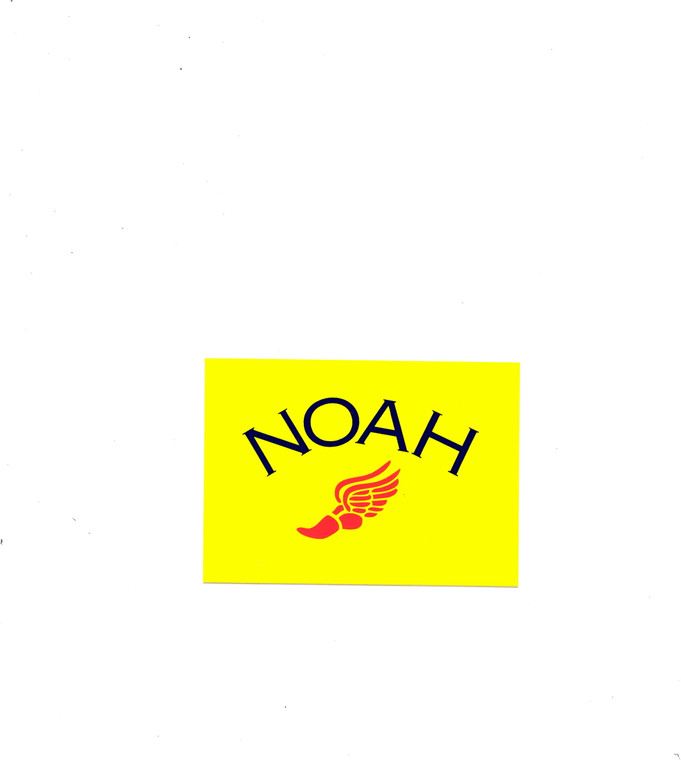 Noah Shoe Sticker