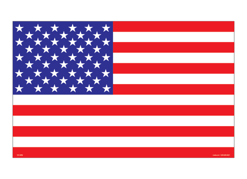 CD-0259 American Flag - Decal 8" x 13"