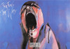 Pink Floyd The Wall British Postcard, Image Media #bis87