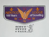 Order of the Arrow Lodge #12 Nentico s24 2010 100th Anniversary Flap Patch