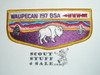 Order of the Arrow Lodge #197 Waupecan s21 Flap Patch