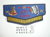 Order of the Arrow Lodge #295 Otena s4 Flap Patch