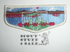 Order of the Arrow Lodge #421 Mazama s4 Flap Patch