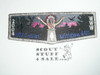 Order of the Arrow Lodge #450 Mitigwa s22 2004 NOAC Host Flap Patch