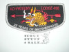 Order of the Arrow Lodge #498 Achpateuny s21 25th Anniversary Flap Patch