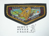 Order of the Arrow Lodge #531 Esselen 50th Anniversary Bullion Flap Patch