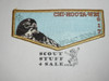 Order of the Arrow Lodge #617 Chi-Hoota-Wei s42 2004 NOAC Flap Patch