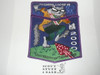 Order of the Arrow Lodge #95 Ty-Ohni 2000 2-piece Flap Patch Set